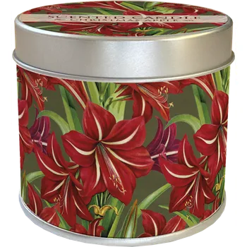 Svíčka Vonná svíčka v plechové dóze Red Christmas Flowers Amaryllis