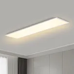 Brilagi - LED Stmívatelné svítidlo SLIMFRAME LED/58W/230V 120x30 cm bílá + DO