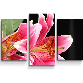 Obraz Sablio Obraz - 3-dílný Lilie - 75x50 cm