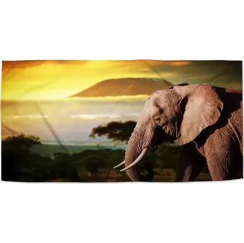 Osuška Sablio Ručník Slon z profilu - 50x100 cm