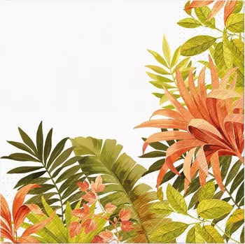 Papírový ubrousek Ubrousky PAW L 33x33cm Exotic Frame