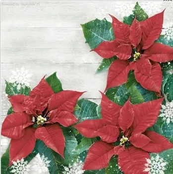 Papírový ubrousek Ubrousky Daisy vánoční Red Poinsettias Frame