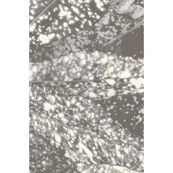 Koberec Koberec Agnella Naturals Kroton šedý