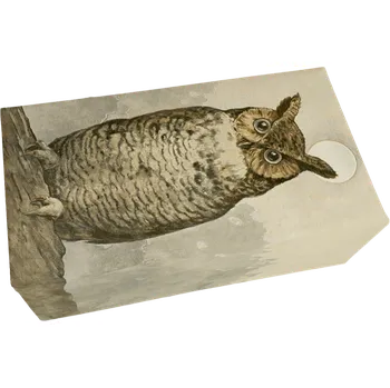 Mýdlo Dárkové mýdlo Christmas Forest Owl 200 g