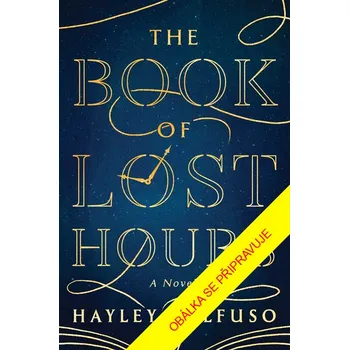 Beletrie pro dospělé Kniha ztracených vzpomínek