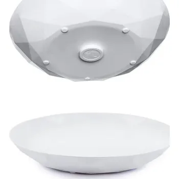 Talíř Magnetický talíř Silwy 24 cm, 2 ks