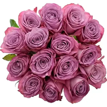 umělá květina Kytice 15 fialových růží MARITIM 50cm