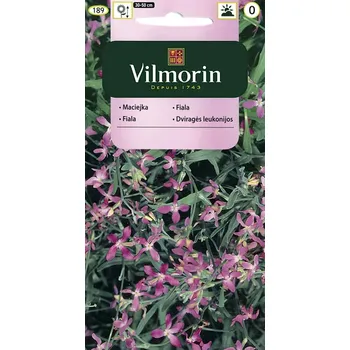 Semeno Fiala dvourohá (noční fiala, bílo-fialová) 10/2023