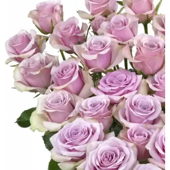 umělá květina Fialová růže trsová LEILA 50cm/5+