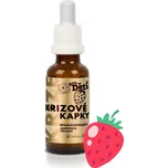 Bachovy kapky pro děti s příchutí jahody 30 ml