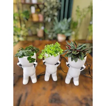 Keramický panáček s peperomií mix