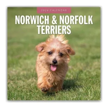 Diář Norwich Terrier und Norfolk Terrier 2026 - 16-Monatskalender (EN)