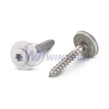 Šroub Klemp.šroub + EPDM, RAL 9010 4,5 x 45 A2 Balení: 200 ks SIBAK45045AWO0