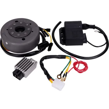 Autoelektrika 101 Octane Přestavbová sada alternátoru / zapalování 12V pro Puch Maxi 55612