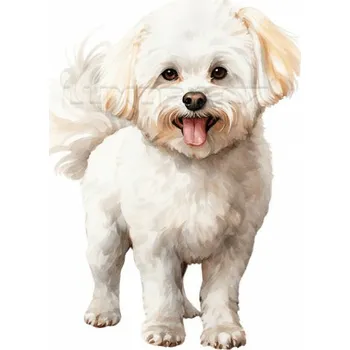 Nášivka Nažehlovačka Bišonek - 5 x 6 cm