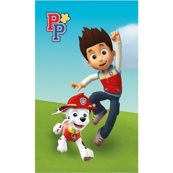S.D.S. DL Dětský froté ručník 50x30cm Paw Patrol Ryder a Marshall