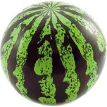 TEDDIES Míč 20cm meloun plast v síťce