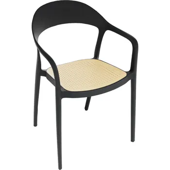 Jídelní židle Plastová židle Curve