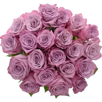 umělá květina Kytice 21 fialových růží MARITIM 50cm