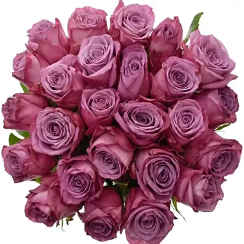 umělá květina Kytice 25 fialových růží MARITIM 50cm