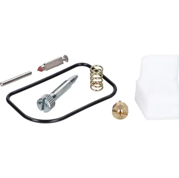 Karburátor Repasní sada karburátoru Dellorto SHA 12, SHA 13 53896