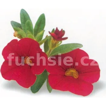 Million Bells- červený - 074