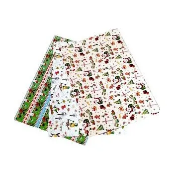 Set školních potřeb Karton 300g motywy świąteczne 24x34cm 3ark MIX