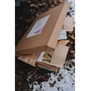 Pamlsek pro psa Vánoční boxík PŘEKVAPENÍ