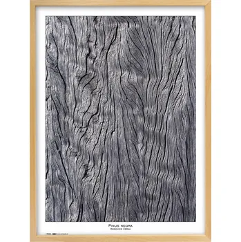 Rám na obraz Tradag Rámeček Natura přírodní 60x80