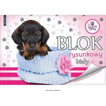 Sešit BENIAMIN Blok na kreslení s omalovánkami Sweet Pets Pejsek 29x21cm