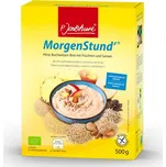 P. Jentschura MorgenStund jáhelno-pohanková kaše s ovocem a semínky 500g, Jentschura