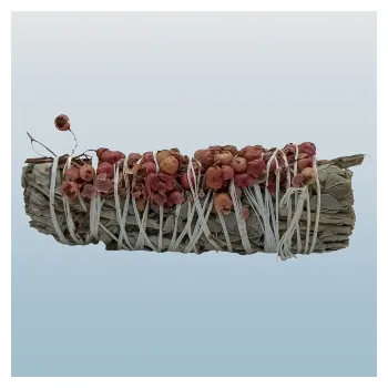 Vonná tyčinka Vykuřovací svazek – Bílá Šalvěj a semeno Pirul (10 x 3 cm)