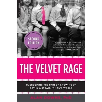 The Velvet Rage - Alan Downs