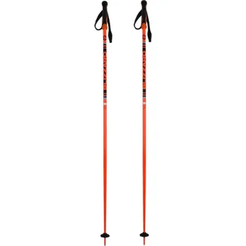 Lyžování Lyžařské hole BLIZZARD Race ski poles, black/orange - 110