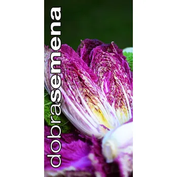 Semeno SCANSIE F1 - 10 ks