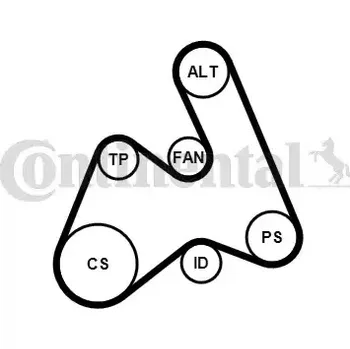 Motor automobilu CONTITECH Vodní pumpa klínového drážkového řemenu CTT 5PK1592WP1