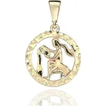 Přívěsek ze žlutého zlata VODNÁŘ