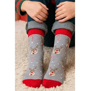 Pánské ponožky Vánoční ponožky Milena 1290-029 - sobík Světle šedá 42-46