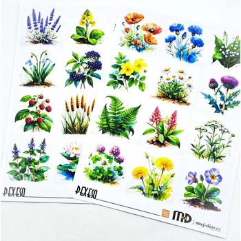 Pexeso Pexeso - Rostliny