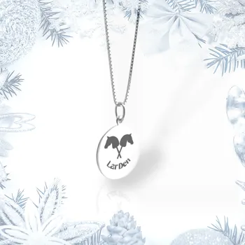 Řetízek Stříbrný řetízek s medailonkem Hobby Horse