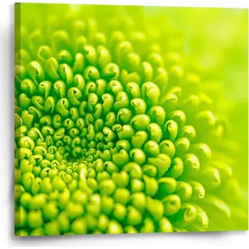 Obraz Sablio Obraz Detail květiny - 50x50 cm