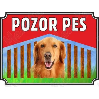 Kancelář Pozor pes - Zlatý retrívr, plast 210 x 148 x 2 mm A5