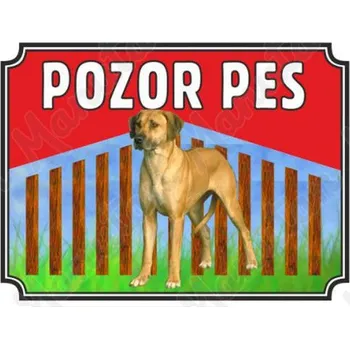Pozor pes - Ridgeback, plast 210 x 148 x 0,5 mm A5