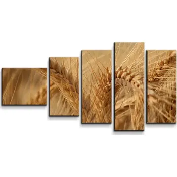 Obraz Sablio Obraz - 5-dílný Klasy 2 - 100x60 cm