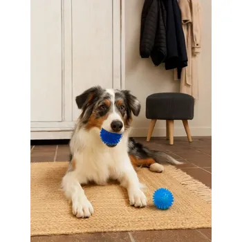 Hračka pro psa Sinsay - Hračka pro zvířata - modrá - 206GR-54X - 206GR-54X-ONE