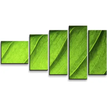 Obraz Sablio Obraz - 5-dílný List - 100x60 cm