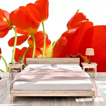 Tapeta Sablio Tapeta Tulipány - 125x75 cm