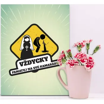 Plechová cedule Sablio Dárková cedulka Vždycky pamatuj na svoje kamarády: 30x40 cm