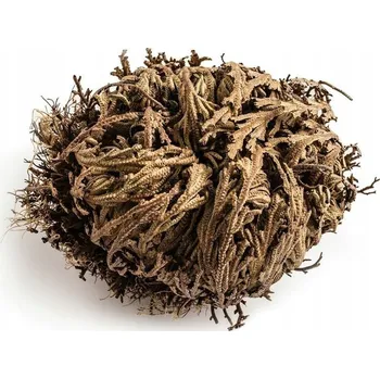 Vrták Jericho růže GadgetMaster GM2