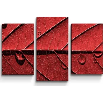 Obraz Sablio Obraz - 3-dílný Červený list - 75x50 cm